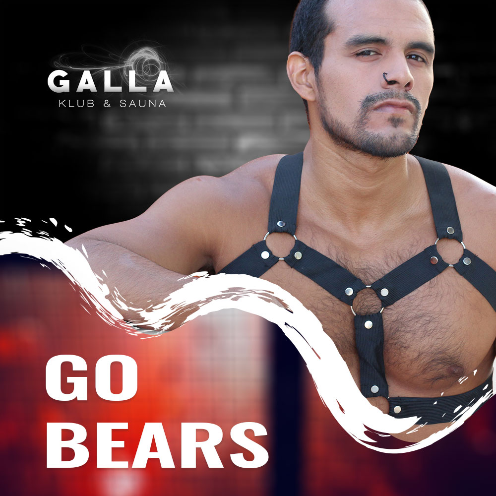 Go Bears ?>